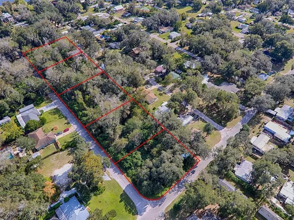 County Road 482c Lot 1, Lake Panasoffkee, FL 33538