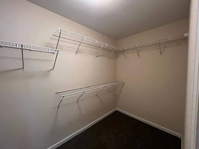 4386 Preserve Trl — Photo 21