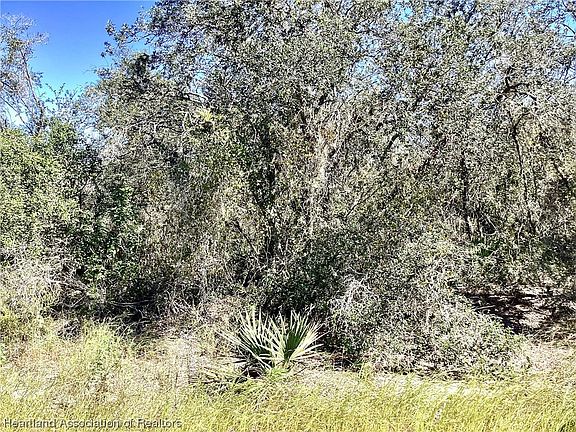 2nd image of 223 Summer Wind Ln
