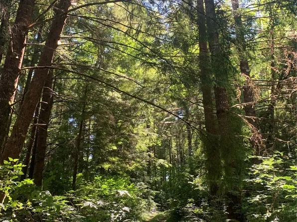 285 Parpala Road, Naselle, WA 98638