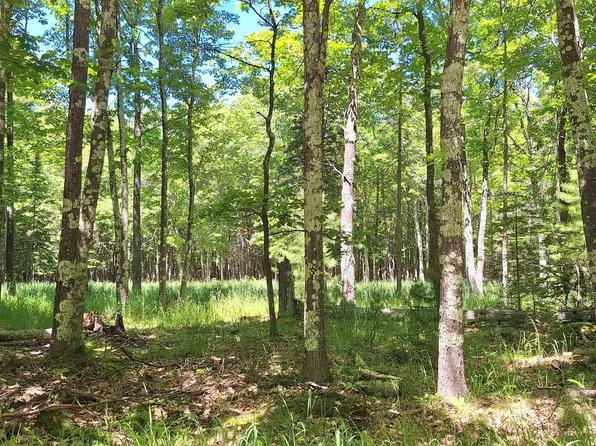 xxx South Shore Rd Lot 3, Block 1 South Shore Woodlands, La Pointe, WI 54850
