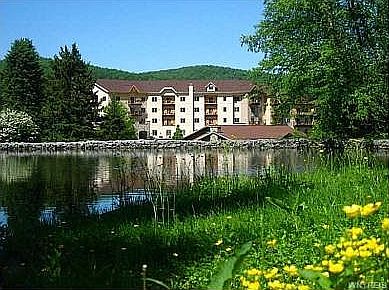 4th image of 6447 Holiday Valley Road