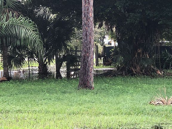 Beautiful lot ready to build