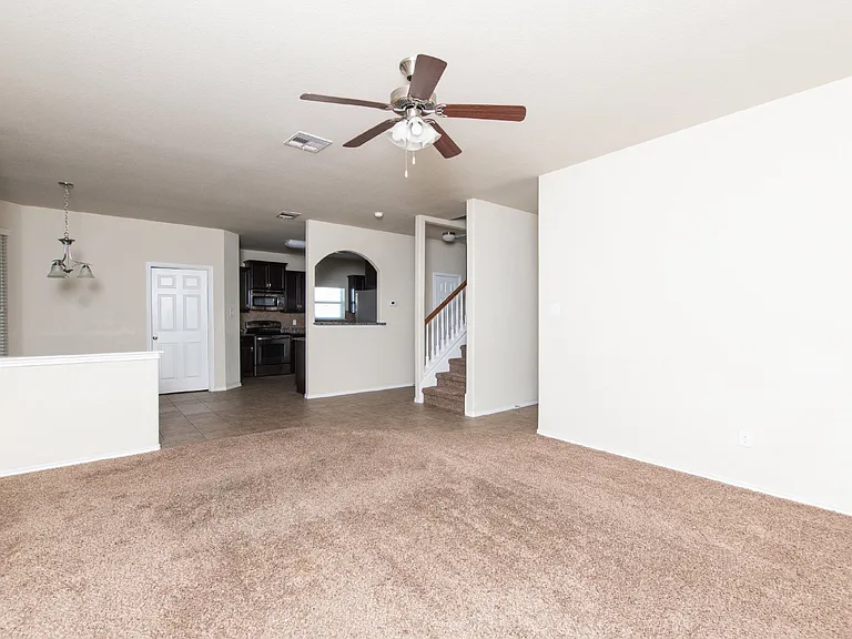 3007 Black Orchid Dr — Photo 5