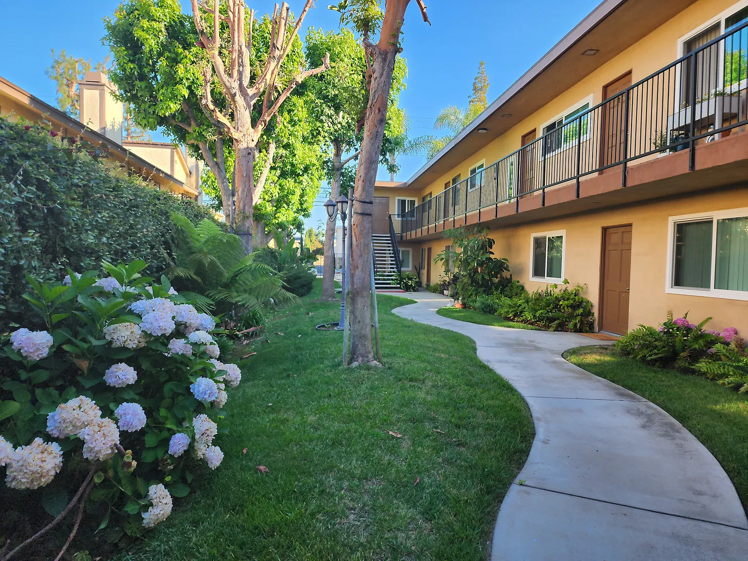 370 Avocado St — Photo 4