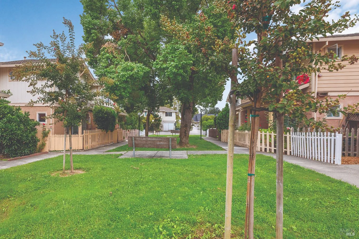 3 bed, 1.5 bath, 1159 sqft, $2,195 — Photo 3