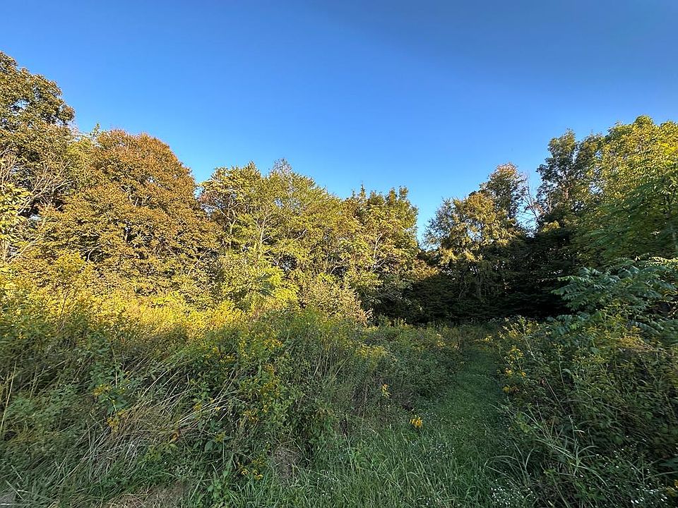 412AC Twin Peaks Rd, Monroe, TN 38573 | MLS #222548 | Zillow