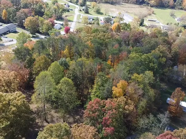 Bee Tree Dr, Peterstown, WV 24963