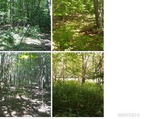 Vl Hunters Creek Road Wales, Wales Center, NY 14169