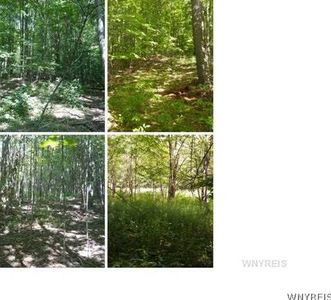 Vl Hunters Creek Road Wales, Wales Center, NY, 14169