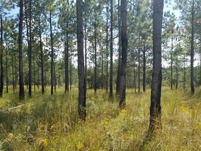 25050 Road 357, Kiln, MS, 39556