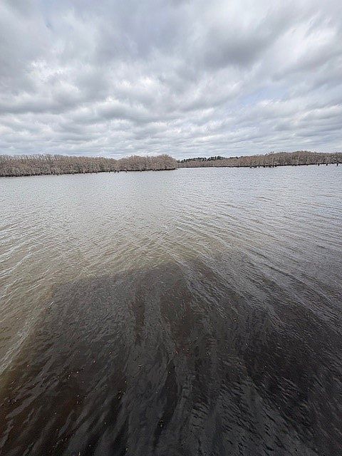 14th image of this home