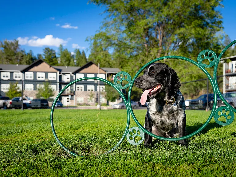 A happy resident