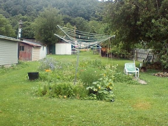 Backyard from kitchen window