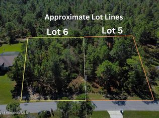 LOT 6 Flock Ave LOT 6, Brooksville, FL 34613
