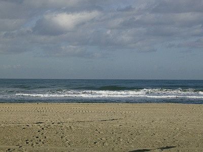 3rd image of 4005 Ocean Front Walk