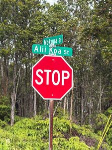 Mokuna St Lot 2170, Volcano, HI, 96785