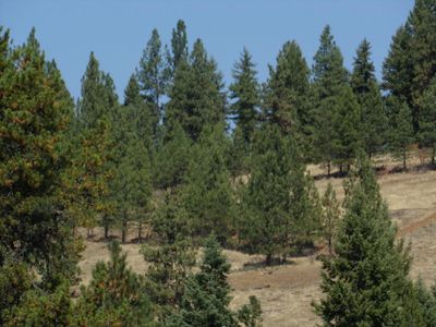 Nna Bigelow Mill Rd, Santa, ID, 83866