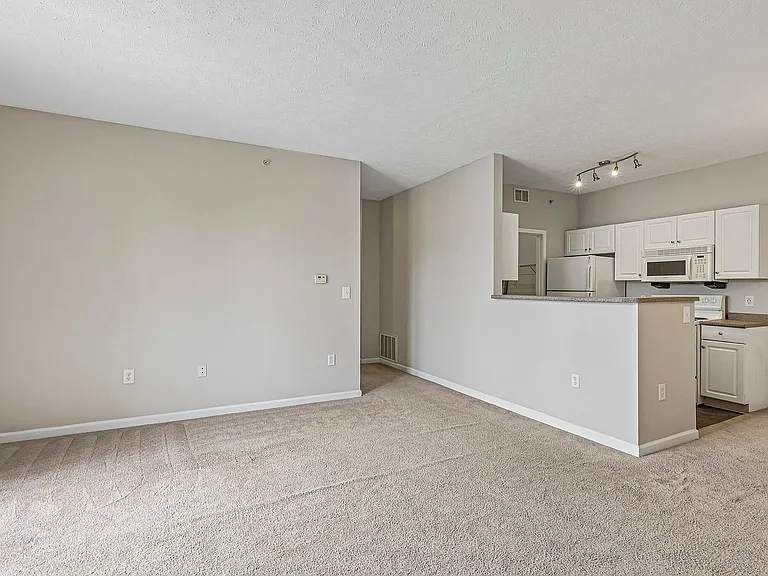 Inviting open-concept apartment with cozy carpeted living space