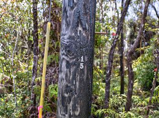 Alii Kane St LOT 1999, Volcano, HI 96785