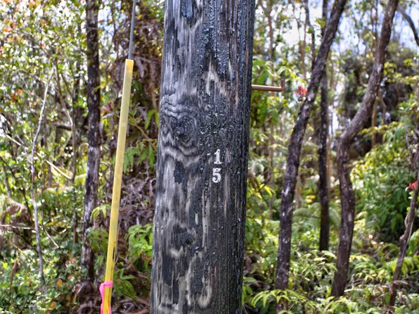 Alii Kane St Lot 1999, Volcano, HI 96785