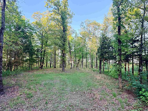 3rd image of 829 Long Branch Rd