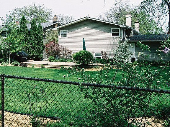 Back yard