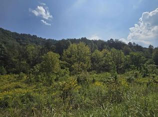 621 Butcher Valley Rd, Rogersville, TN 37857