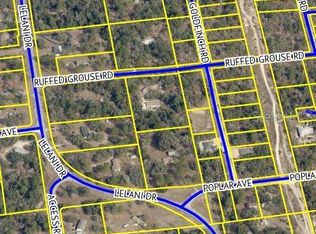 Goldfinch Rd, Weeki wachee, FL 34614