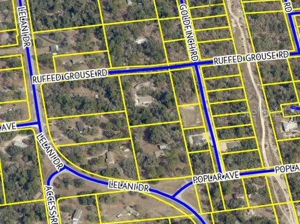 Goldfinch Rd, Weeki Wachee, FL 34614