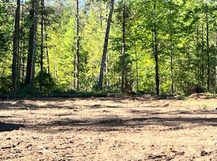PARCEL 7 Detroit Rd, Idlewild, MI 49642