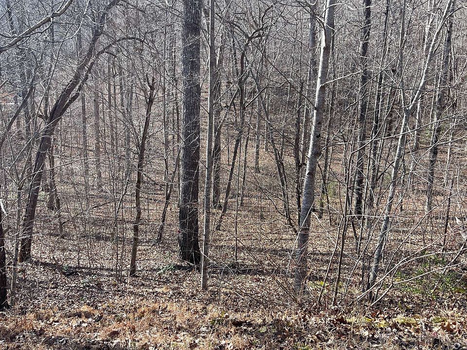 1st image of 16 Shallow Creek Cir