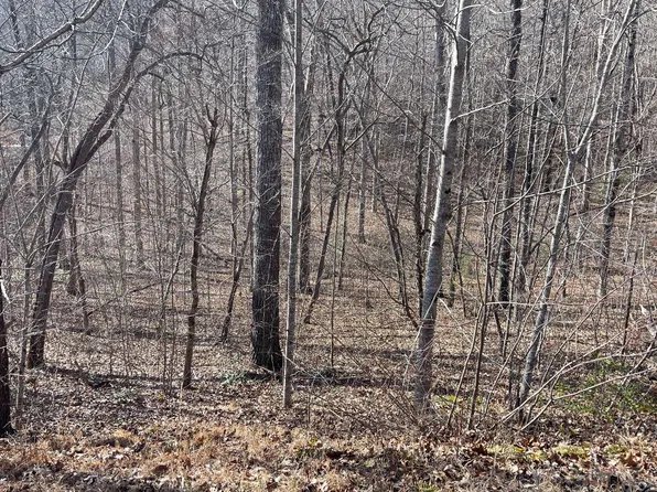 16 Shallow Creek Cir, Hiawassee, GA 30546