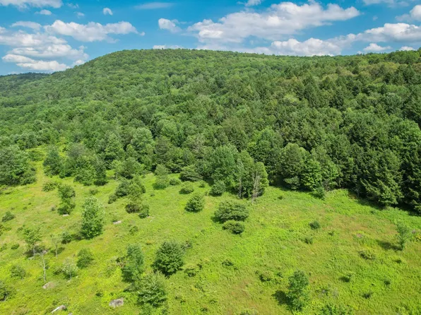 0 State Highway 23, Davenport Center, NY 13751