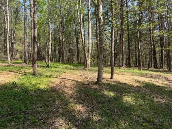 TBD (1.014 acre) Crestview Drive West, Creston, NC 28615