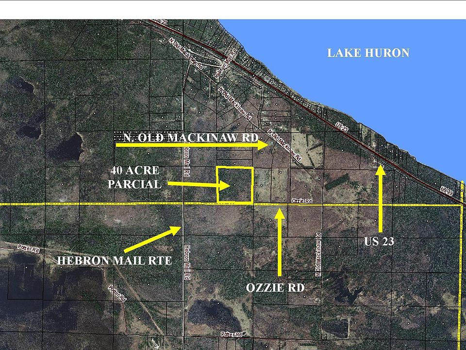 2nd image of Ozzie Rd