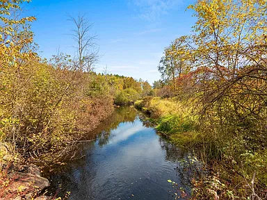 Property photo 40