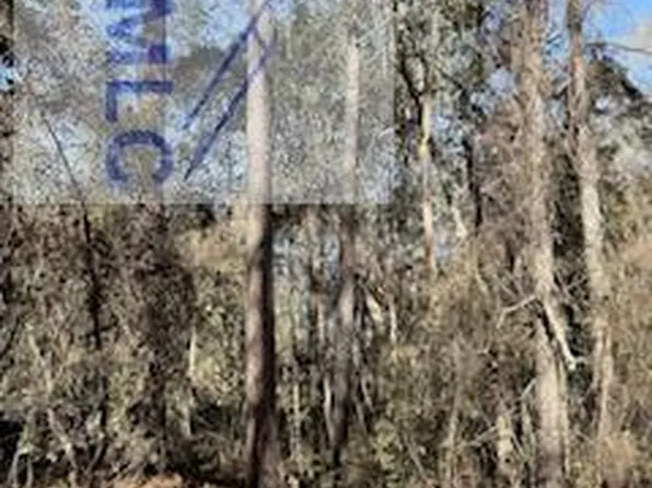28 Deer Trail Ln, Midway, GA 31320