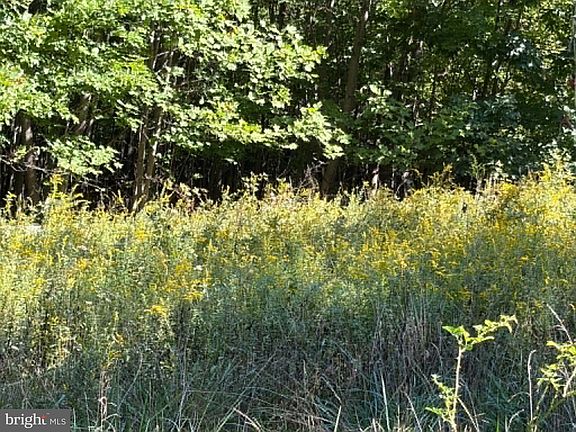 4th image of 669 Capon Woods Resort Rd Lot 19