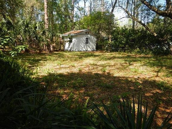 Back yard