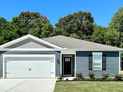 18953 W Gate Ct, Selbyville, DE, 19975