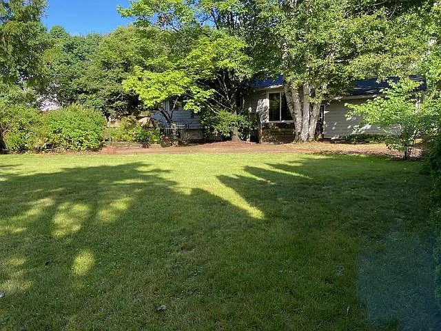 back yard