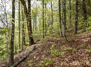 L-54 Overlook Rd, Bryson City, NC 28713