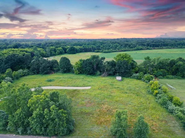 2400 Skeeter Ln, Dansville, MI 48819