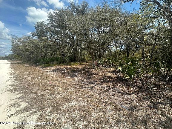 5th image of 8190 Renova Dr