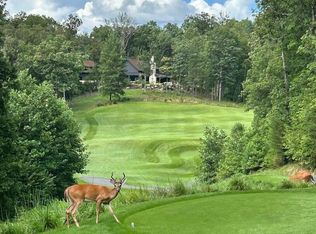 144 Hickory Way, Mineral Bluff, GA 30559