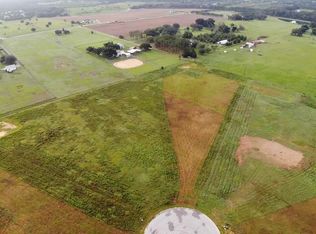 10011 WHITE EGRET DRIVE LOT 90, THONOTOSASSA, FL 33592