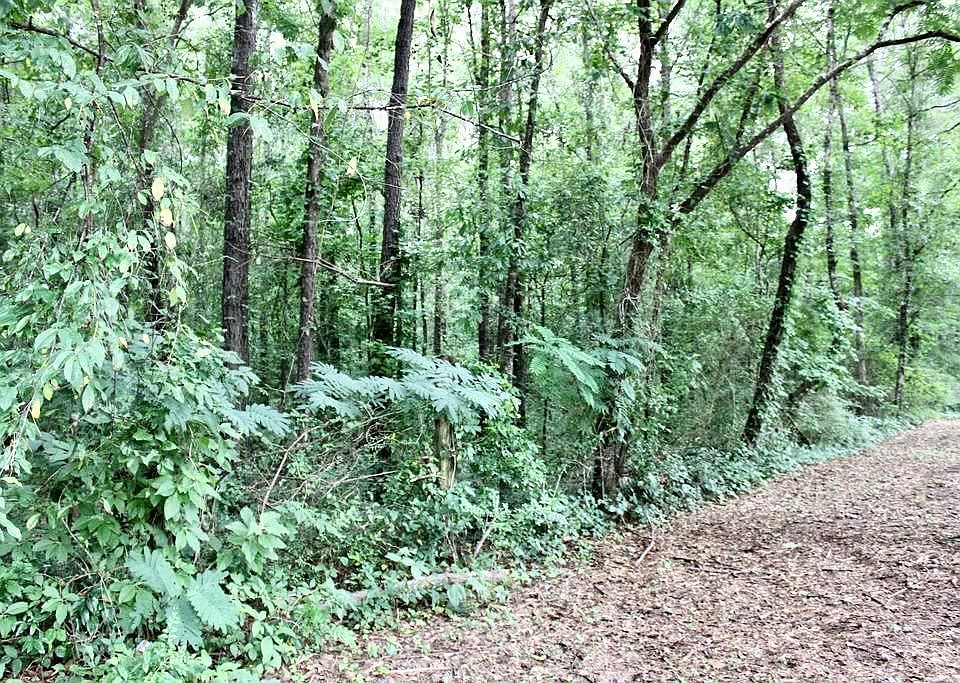 1st image of 0 Lee Road 592