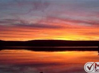 203 E Lake Emily Rd, Crystal Falls, MI 49920