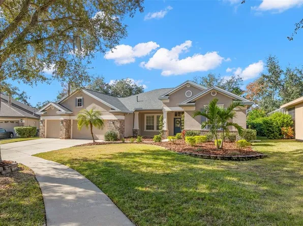 15321 Vireoglen Ln, Lithia, FL 33547